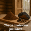 ChatGPT chaga mielona z napisem Czaga Syberyjska (Chaga) 200g – Naturalna huba brzozowa do parzenia