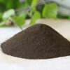 Chaga