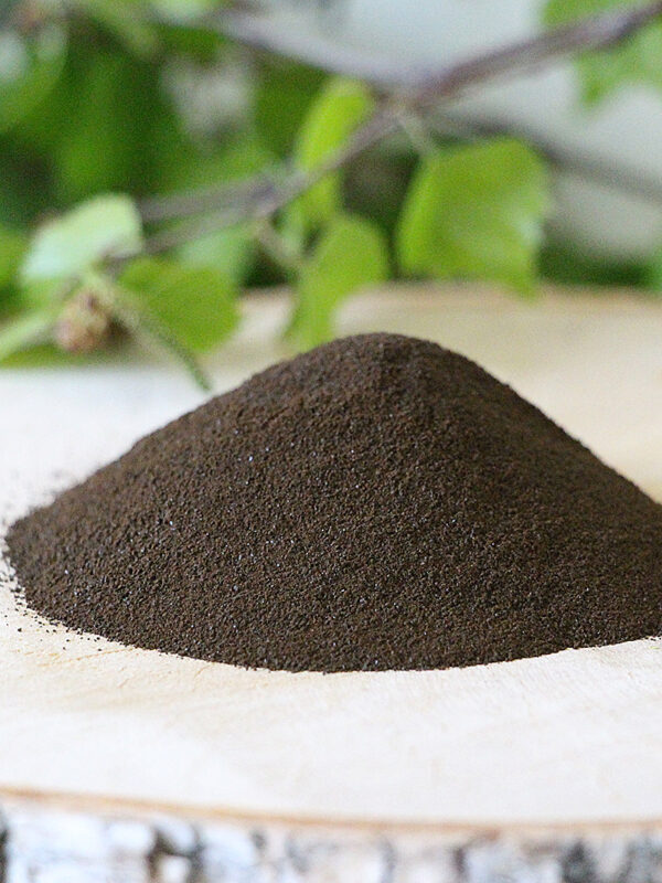 Chaga