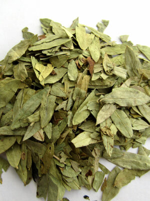 Senes (wąkolistny albo ostrolistny)/ Sennae folium/ Сенна