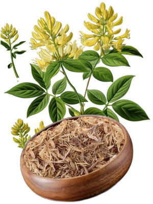 Астрагал перепончатый