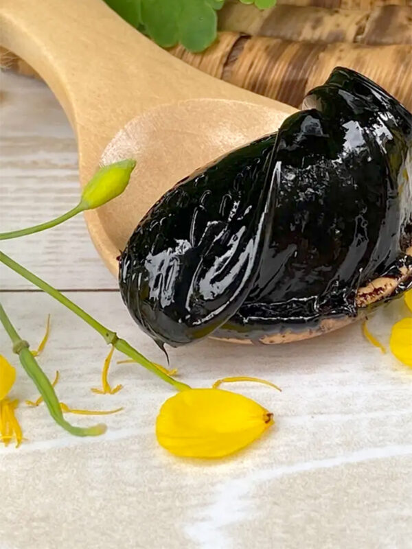 Mumio-800_1066-600x800 SHILAJIT Mumio 50g lepka żywica mineralna w słoiczku