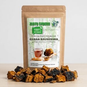 Czaga Syberyjska (Chaga) 500g – Naturalna Huba Brzozowa w kawałkach